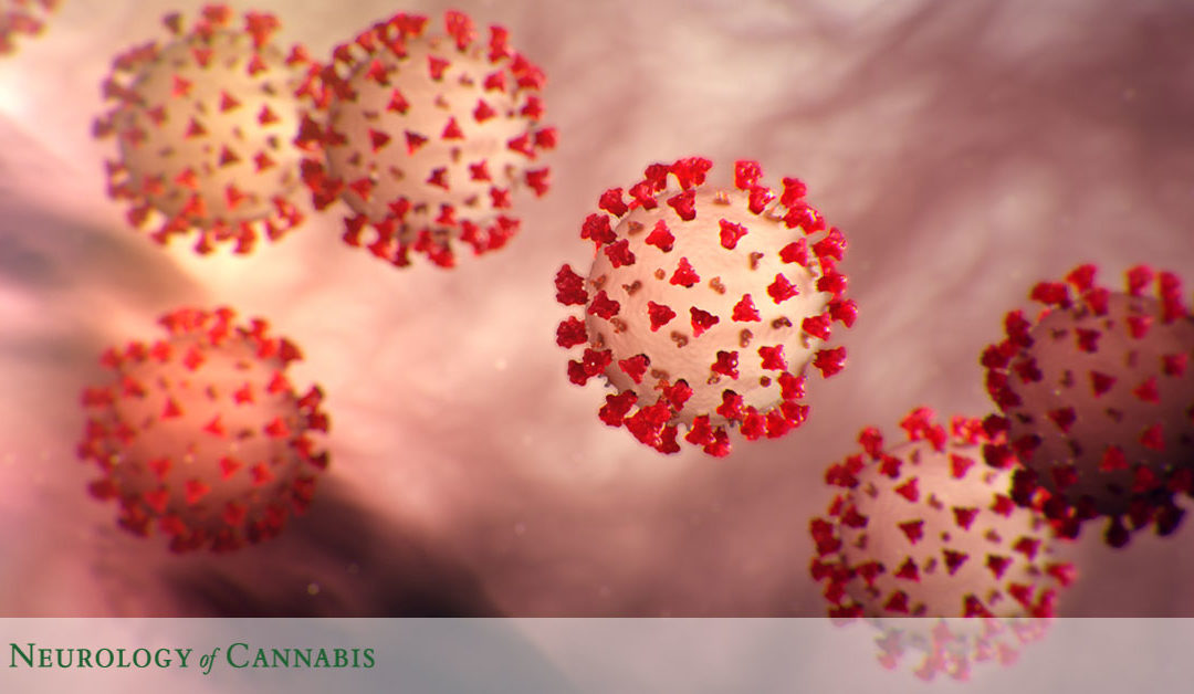 Coronavirus & Medical Cannabis